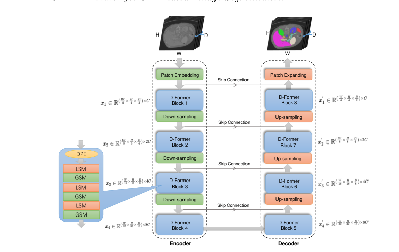 Overview of the D-Former model architecture.