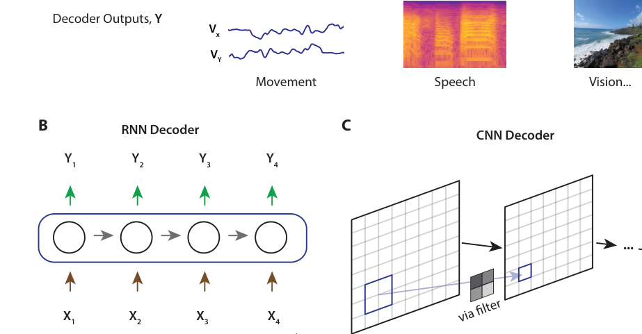 Overview of neural decoding applications and modalities.