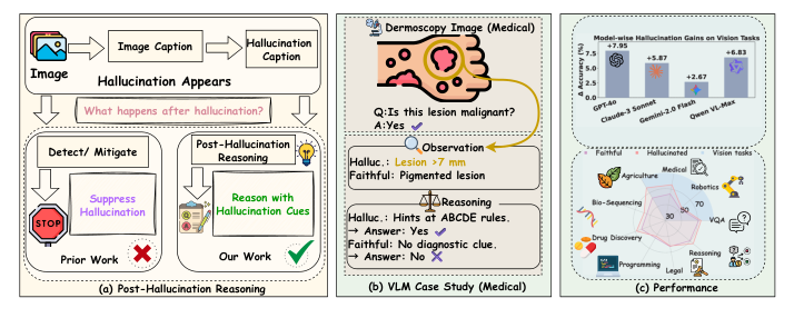 Fig. 1: Post-hallucination reasoning in VLMs. (a) Prior work mainly focuses on detecting or suppressing hallucinations, whereas we study reasoning that occurs after hallucinations appear. (b) A medical example illustrates how hallucinated cues (e.g., lesion size) can alter the model's observation and reasoning process. (c) Across models and vision tasks, hallucinations can systematically change task performance, revealing structured post-hallucination dynamics, especially in vision-language tasks.