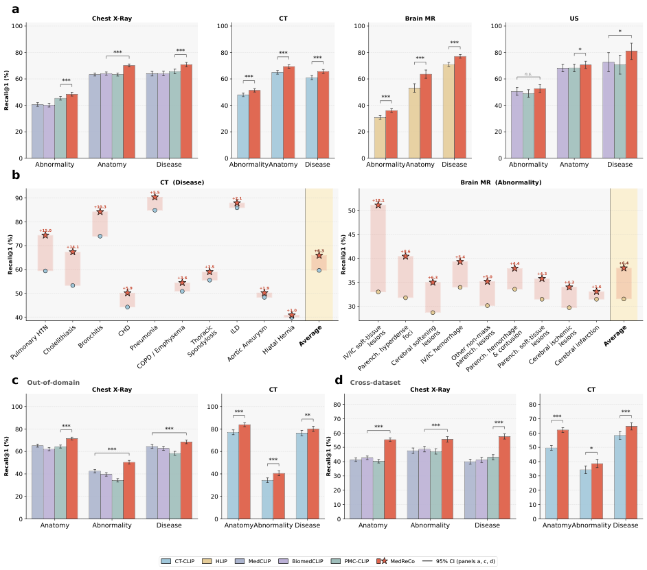 Performance of MedReCo in internal validation settings.