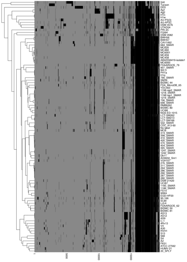 Fig. 4. Functional categories according to seed scheme. (B) Functional categories by COG scheme. Cutoff of 50% and 100% for core genome is shown.