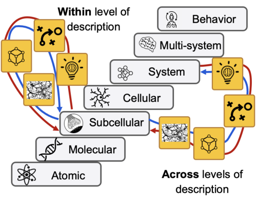 Levels of description and their connection to levels of analysis.