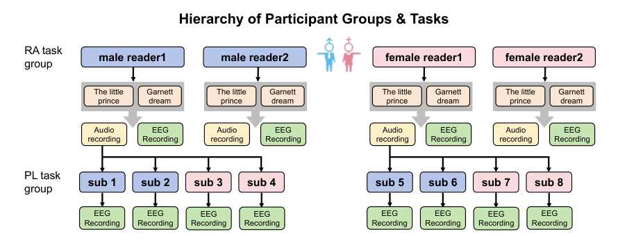 Figure 2.Overview of the experimental pipeline followed by the participants. During the reading phase, four participants independently read two novels while their EEG signals were recorded. In the listening phase, eight participants were divided into two groups (four participants per group), and each group listened to the novel audio recordings by Female Participant 1 and Male Participant 1 while their EEG activity was recorded.