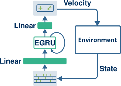 Model architecture of the EGRU neural decoder.