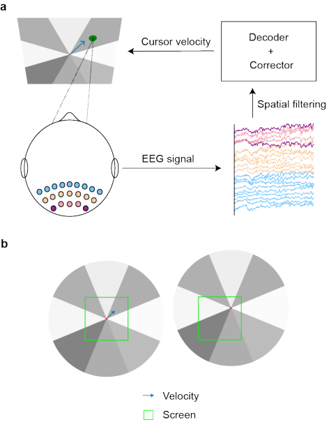 Illustration of the stimulus paradigm and cursor control mechanism.