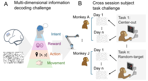 Figure 1: Key challenges in multi-dimensional neural decoding. (A) Growing demand for parallel decoding of diverse neural signals. (B) Limited generalization under distribution shifts across sessions, subjects, and paradigms.