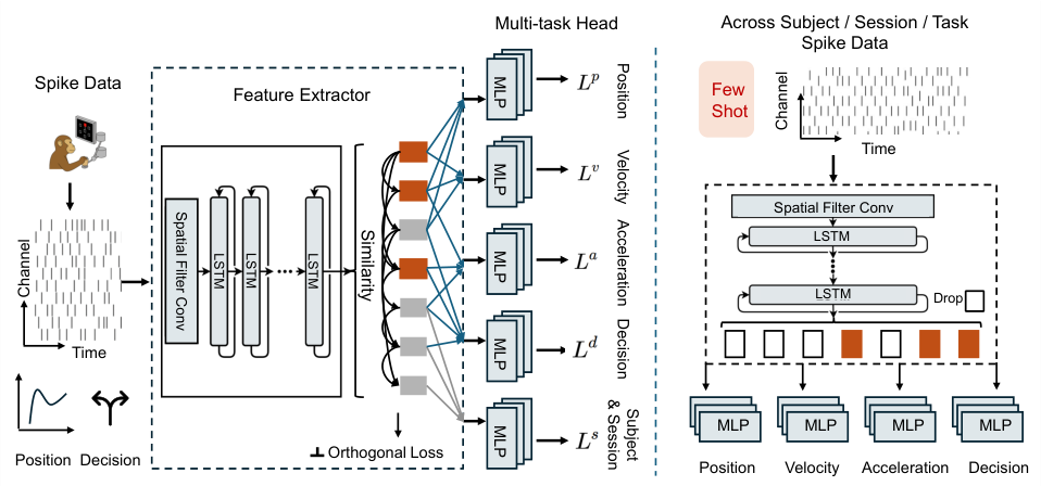 Figure 3: Overview of the OrthoSchema framework. Spike data are processed by a global convolution layer followed by LSTM blocks (replaceable) to obtain latent representations. Orthogonality constraints are applied in the latent space. The model includes multiple decoding heads for direction classification and the regression of hand position, velocity, and acceleration. A session/subject classification head is employed during training to model distributional shifts. During inference, the session classification components are removed, and parameters are selectively reused for few-shot fine-tuning.