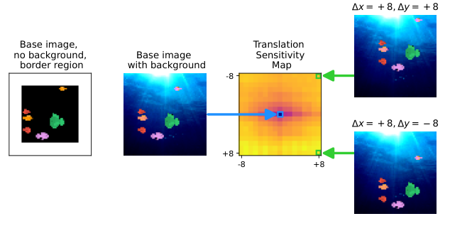 Figure B.2: Generation of translation sensitivity maps.For the arrangement of fish, we require a free border region (white) with a width of 10 pixels, which ensures that translations by ±8 pixels do not remove any fish from the frame (left). We then add the background to obtain the base image, which provides the base actor output (middle left). Each pixel of the translation sensitivity map (middle right) corresponds to a translation of the entities in the foreground relative to the base image. For example, the pixel in the right upper corner corresponds to the maximal translation to the right and upward (upper right).