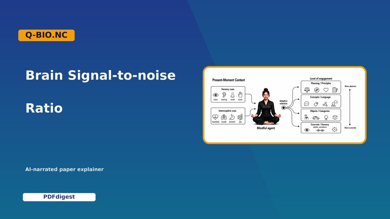 How Meditation Shapes the Brain’s Signal-to-Noise Ratio visual preview